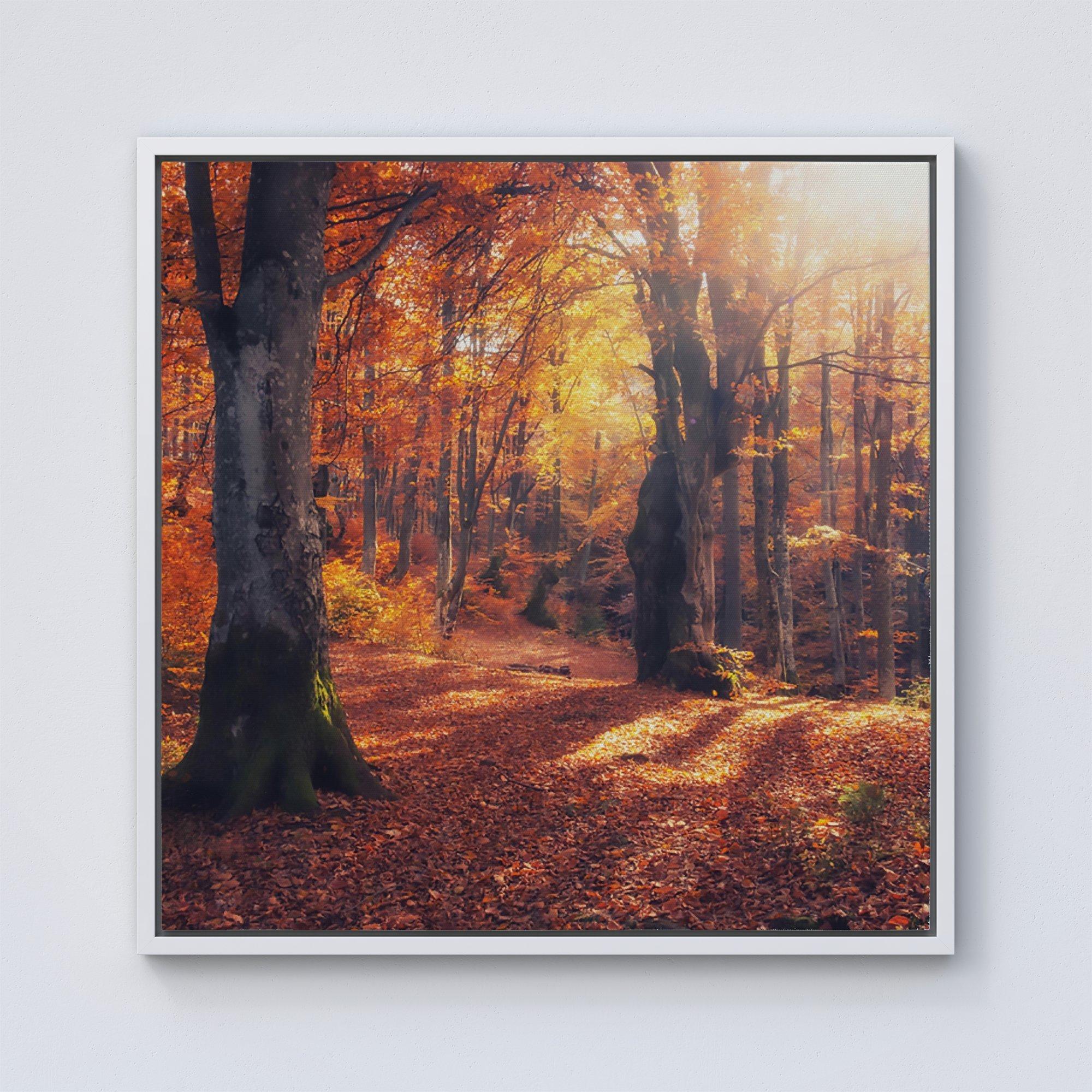 Autumn Forest Framed Canvas